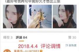 碾子山婚外情调查取证：涉外离婚案件中需提交的材料